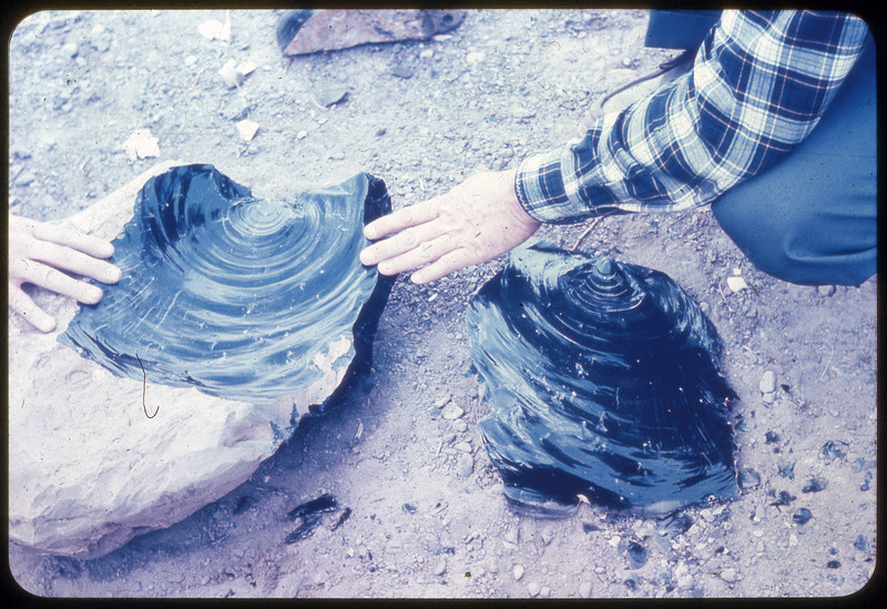 A photographic slide of two large black obsidian flakes. Two people are analyzing the flakes. It is flaked with a spiral design.