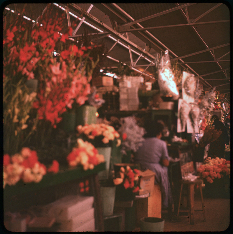 A photographic slide of a blurry image of flowers sold at a market. There are some people sitting amongst the flowers