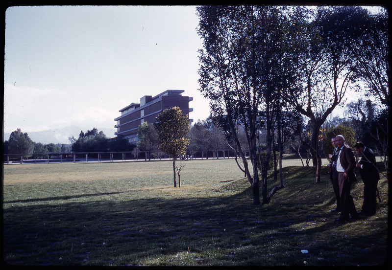 A photographic slide of three men in the shade of a tree on a grassy campus.