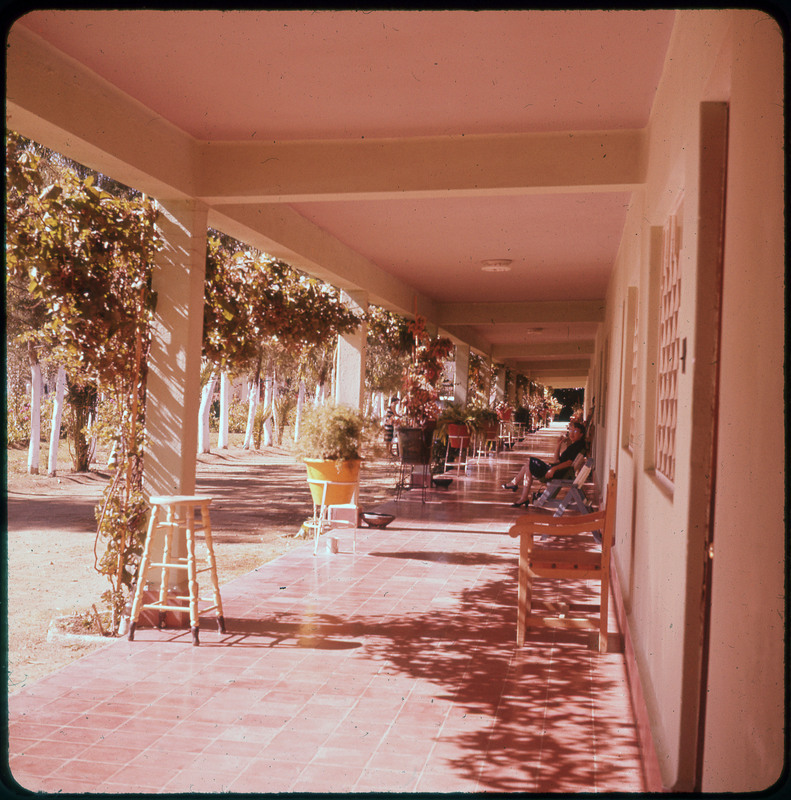 A photographic slide of an outdoor patio that is tiled. It is lined with many plants and there are people sitting on the patio.