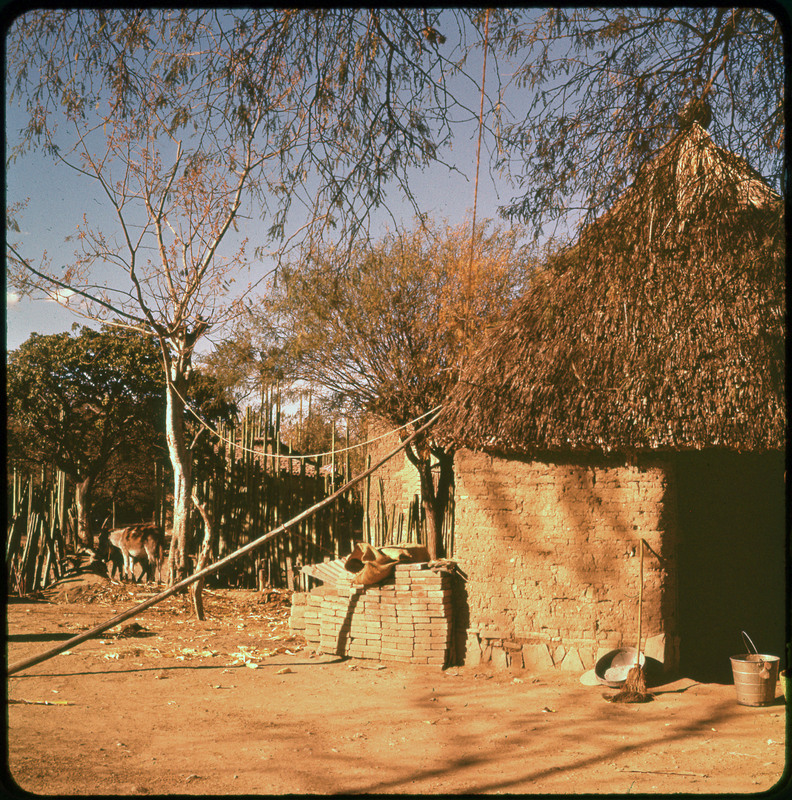 A photographic slide of a brick hut with a straw roof. There are trees in the background and a pile of bricks.