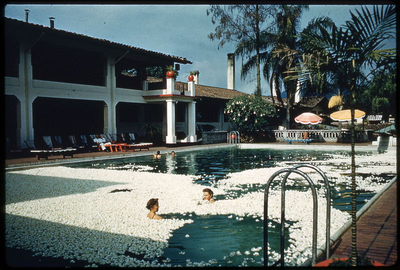 A photographic slide of people in a hotel pool filled with what looks like white flowers.There are beach chairs along the pool edge and a hotel on the side.