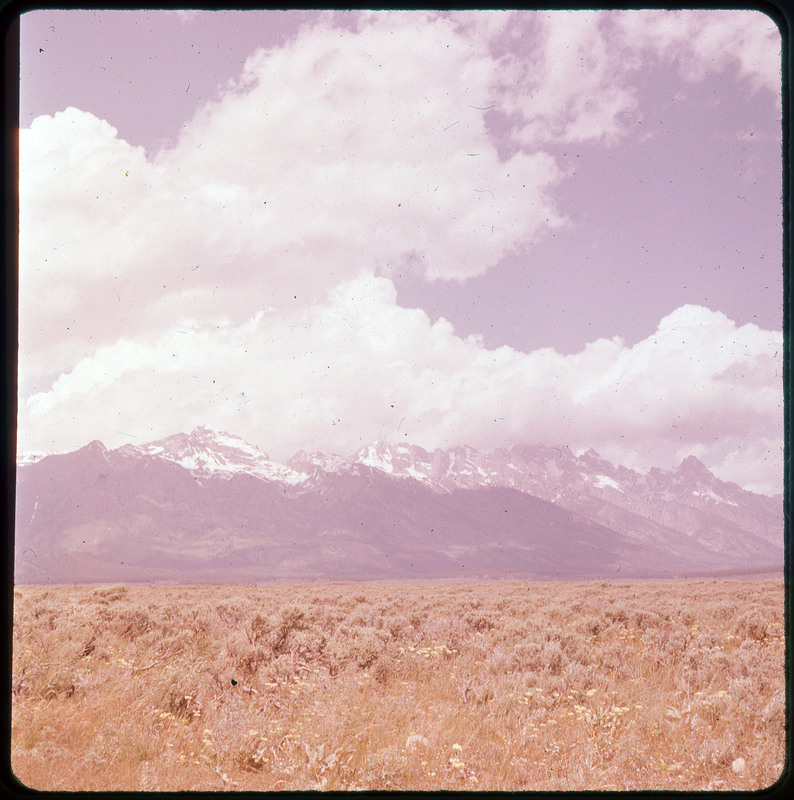 A photographic slide of snowy mountains in the background and a large grassy field in the foreground.