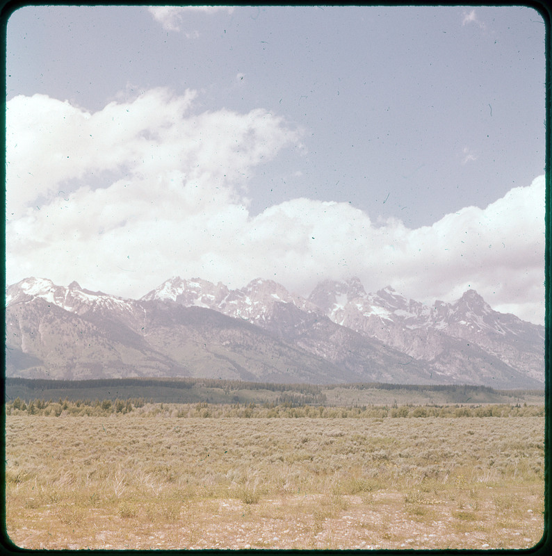 A photographic slide of snowy mountains and a line of pine trees at the base. There is a large grassy field in the foreground.