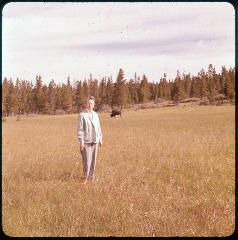 A photographic slide of Evelyn Crabtree in a grassy field. There is a buffalo grazing in the background and pine trees.