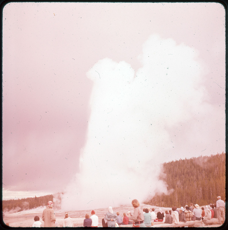 A photographic slide of steam in the air and pine trees in the background.