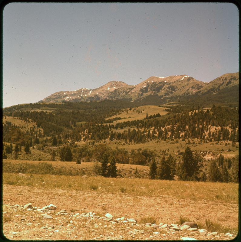 A photographic slide of a scenic view of snowy mountains, many pine trees, and many grassy fields.