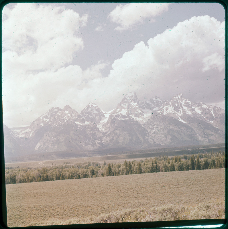 A photographic slide of snowy mountains and a cloudy sky. There are grassy field and pine trees in the foreground.