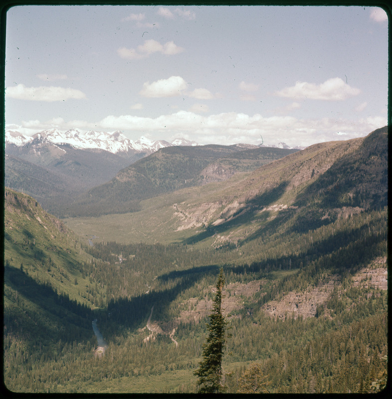 A photographic slide of a mountainous valley with many pine trees. There are snowy mountains in the background.