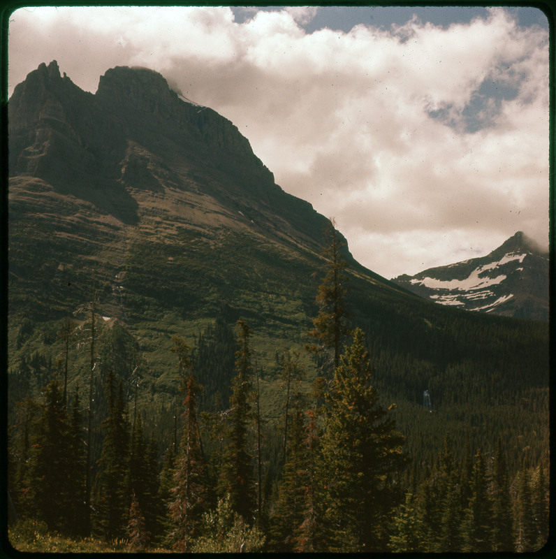 A photographic slide of the side of a mountain. There are pine trees all over the mountain and a small waterfall visible.