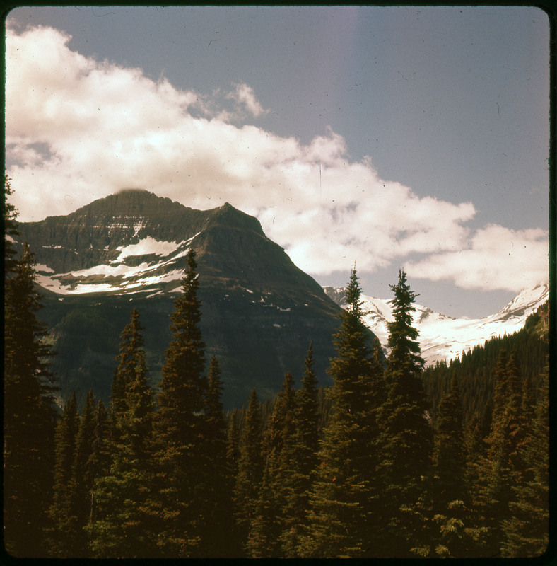 A photographic slide of a snowy mountain range and pine trees in the foreground. There are some clouds in the sky.