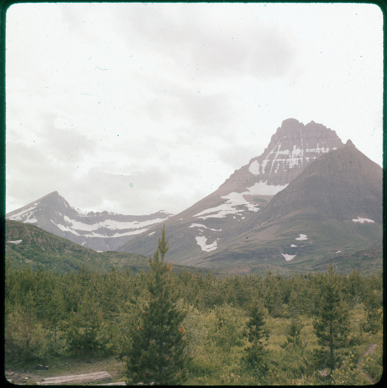 A photographic slide of a forest in the foreground. There are many snowy mountains in the background that are large.