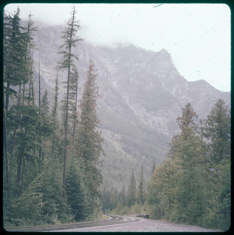 A photographic slide of snow run off through a valley of pine trees. There are low clouds.