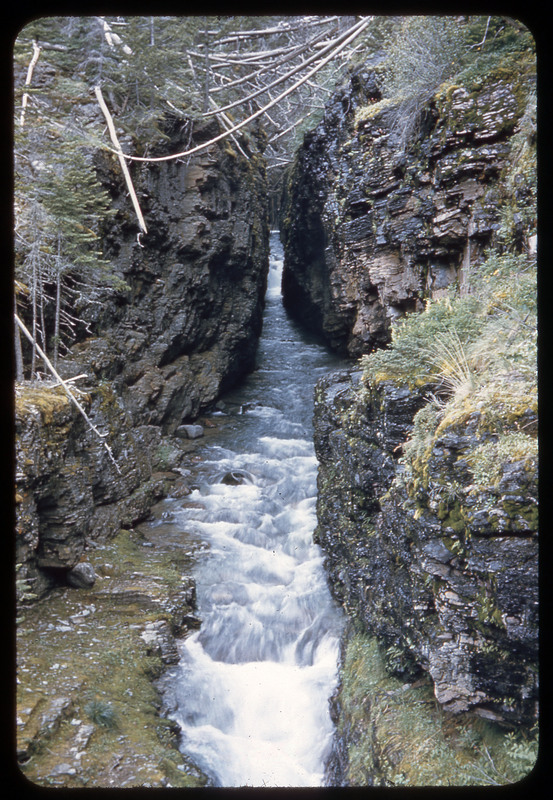 A photographic slide of a car driving on a mountain road. There are snowy mountains in the background and a forest.