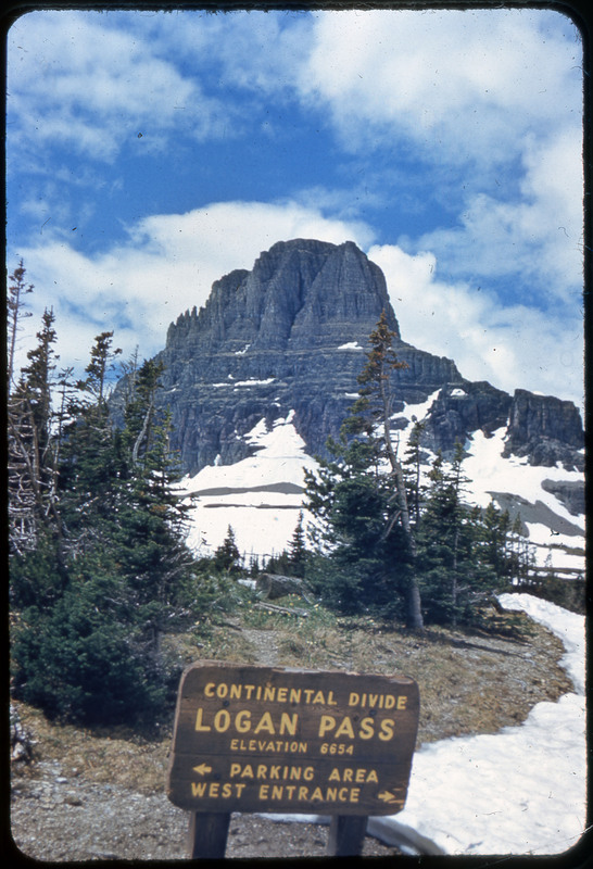 A photographic slide of two orange vans of people traveling up a mountain road. There are snowy mountains in the background.