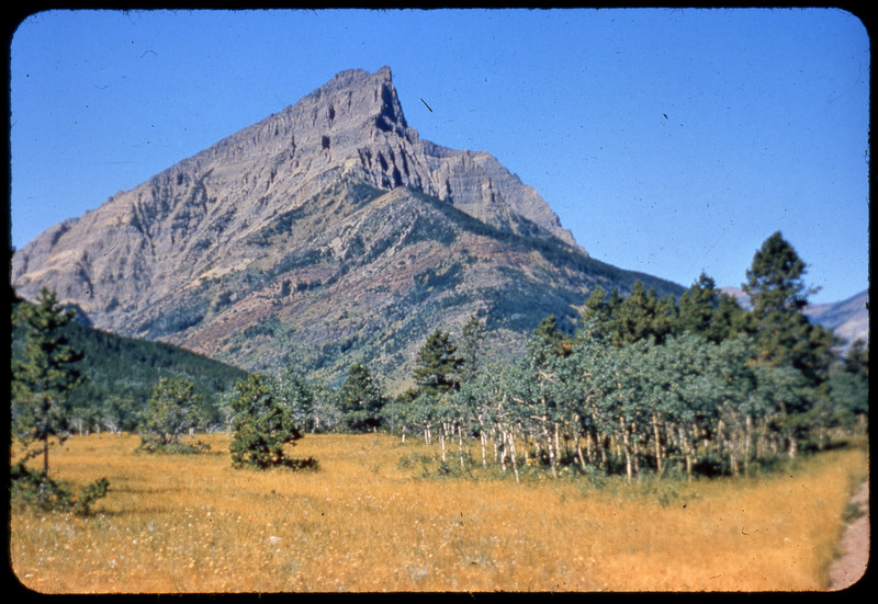 A photographic slide of a rock mountain peak in the background. There is a field in the foreground and many trees.