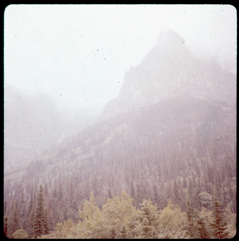 A photographic slide of a few pine trees in front of foggy mountains.