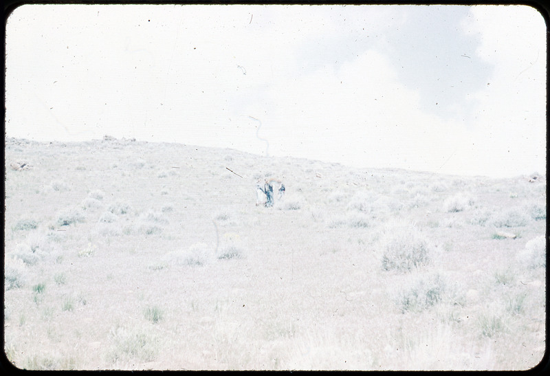 A photographic slide of a grassy hillside with three people walking through the field.