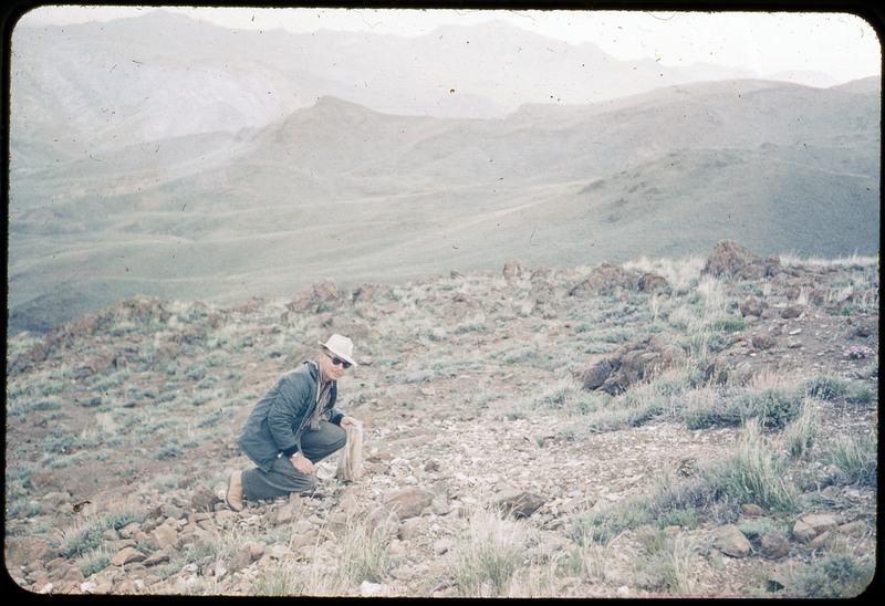 A photographic slide of Donald Crabtree collecting rocks on a grassy and rocky hillside. There are mountains in the background.