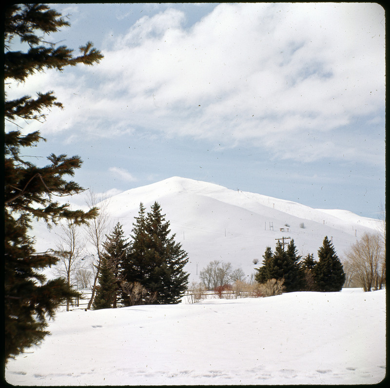 A photographic slide of a snowy mountain with some trees, a fence, and power lines.