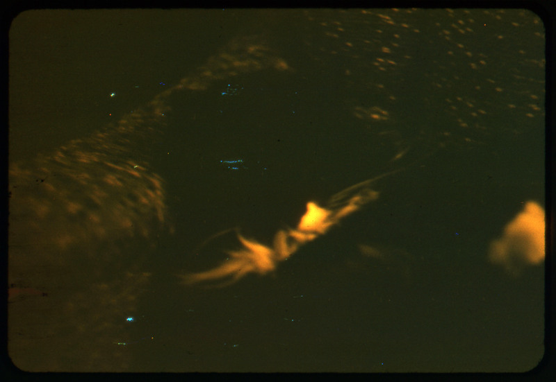 A photographic slide of a blurry image of something possibly shiny. The photo is too close up and blurry to tell what it is.