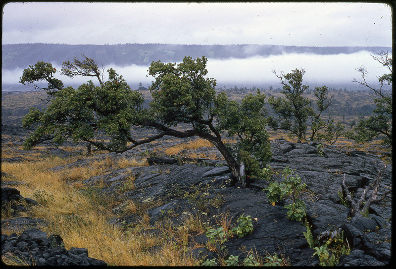 A photographic slide of metal structures are the base of a rock hill. There seems to be some mining activity along the hill.