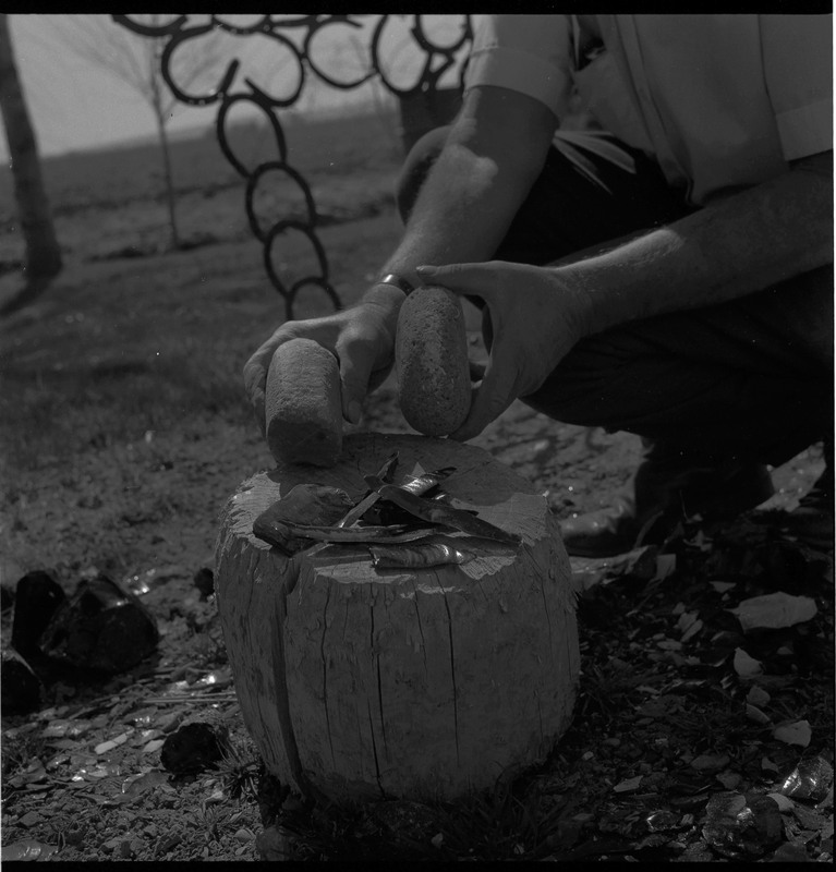 An image of Donald E. Crabtree looking at hammerstones and worked stone. The worked stones seem to be obsidian flakes. Crabtree holds two hammerstones resting on log stump.