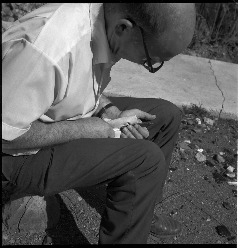 An image of Donald E. Crabtree flintknapping on a log stump. Crabtree is holding the stone object he is working with. Working on the object, he is holding it flat on the palm of his left hand, covered with a piece of leather, while he uses a bone tool to pressure flake the object.