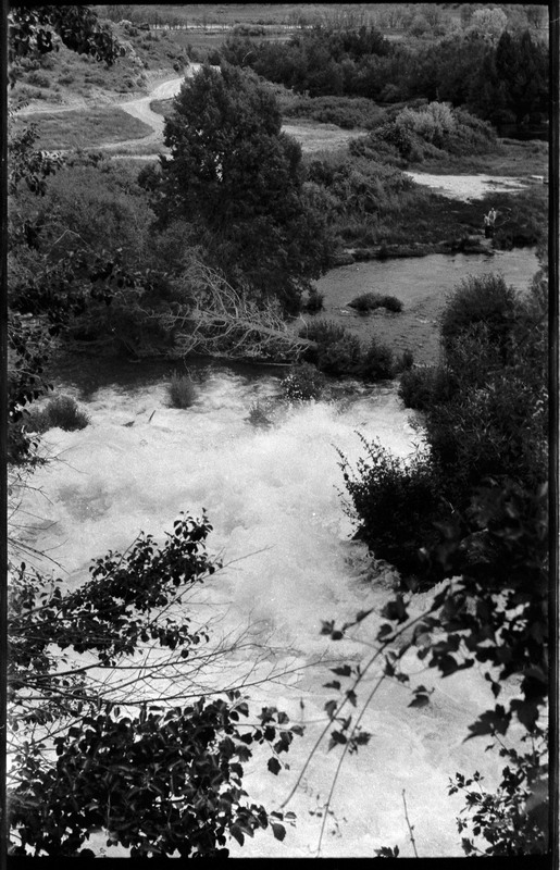 A photo of a river surrounded by trees. There appears to be a dirt or gravel road in the background.