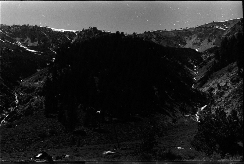 A photo of a hill covered with trees.