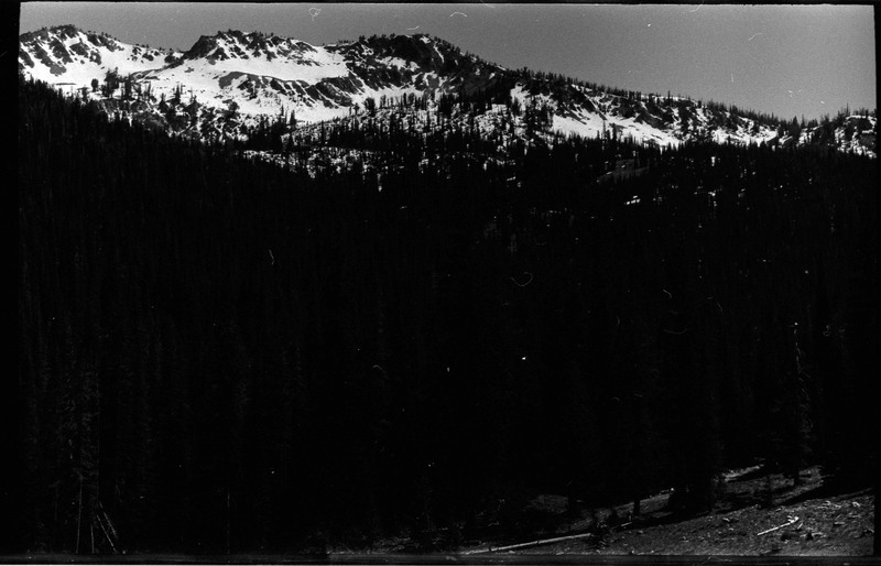 A photo of a hill covered with trees and snow.