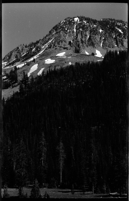 A photo of a mountain covered with trees and light snow. More trees are visible in the foreground.