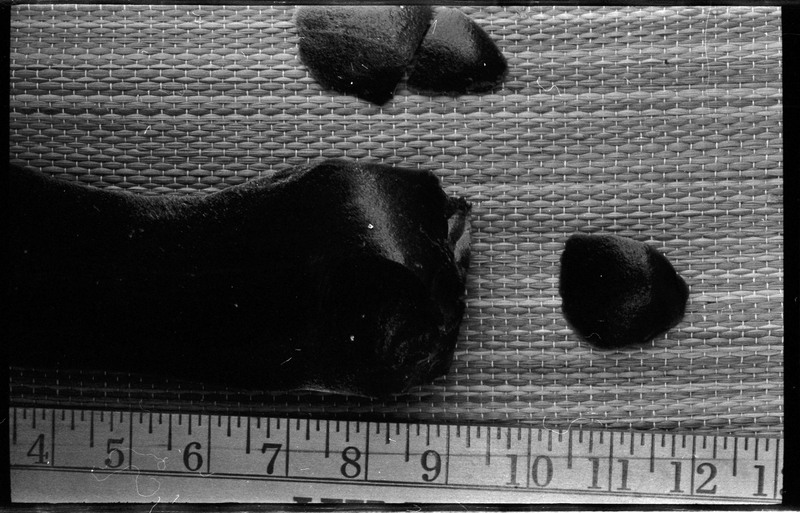 A photo of three flintknapped pieces next to a ruler.