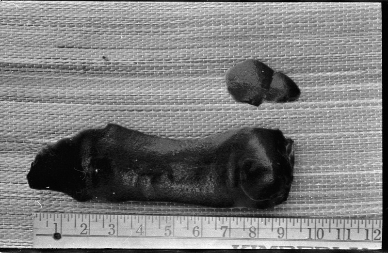 A photo of two flintknapped pieces next to a ruler.