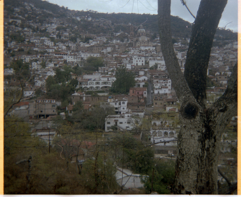 A photograph of a cityscape, with a tree in the foreground and buildings in the distance.