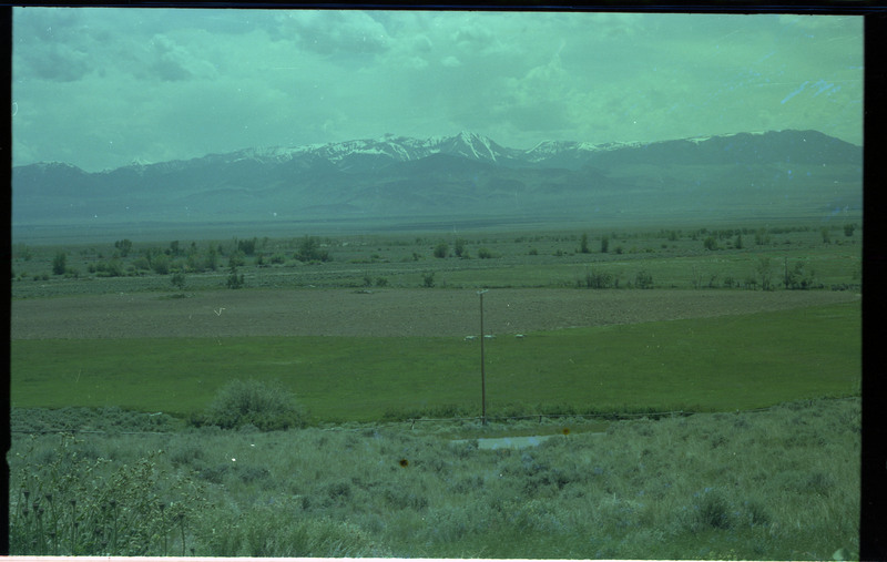 A photograph of a green landscape with snowcapped mountains in the distance.