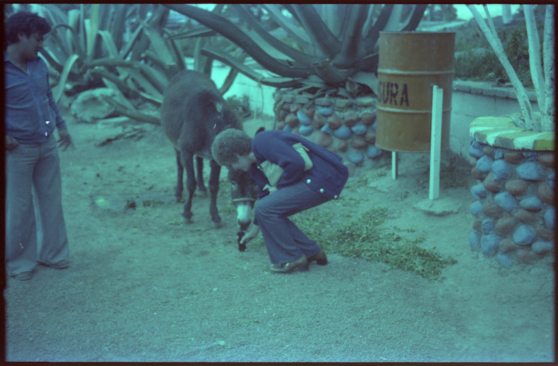 A photograph of Evelyn Crabtree crouched next to a donkey. It appears that she is giving the donkey something to eat or drink.