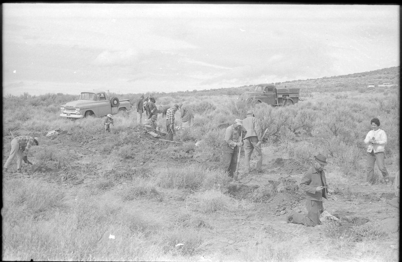 A photograph of a group of unnamed people digging in a field. Two trucks and two cars are visible in the image.