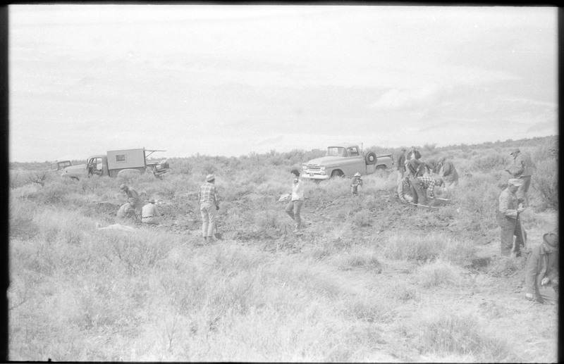 A photograph of a group of unnamed people digging in a field. Two trucks are visible in the image.