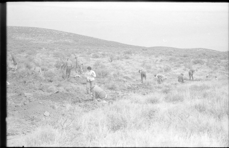 A photograph of a group of unnamed people digging in a field.