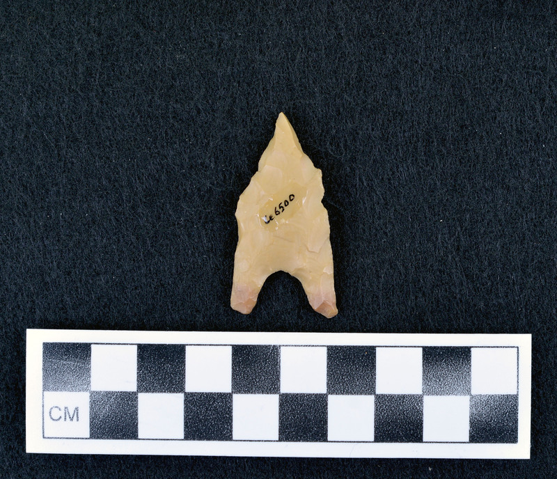 Burinated distal end, Feels and sounds like plastic. (DHC)