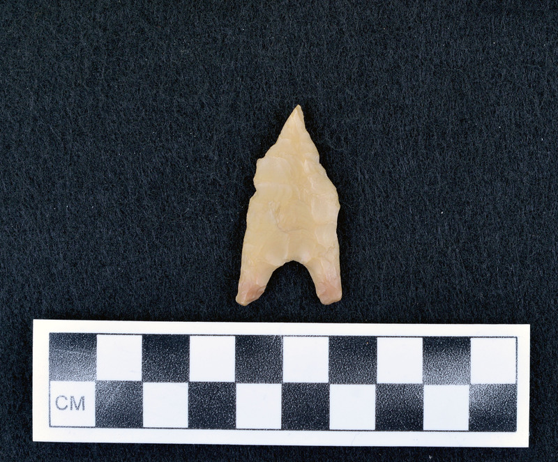 Burinated distal end, Feels and sounds like plastic. (DHC)