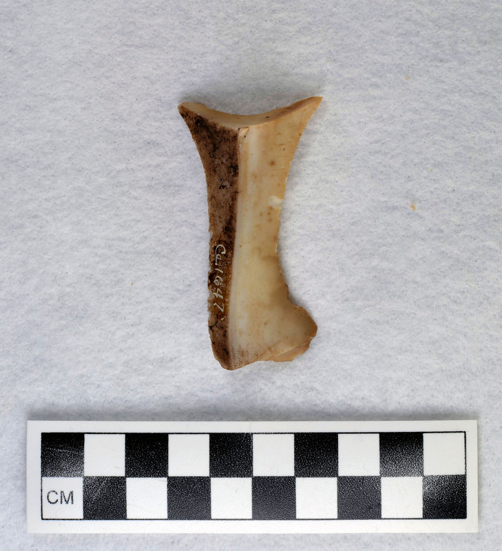 Examples of heat treated flakes that were heated up too quickly and cooled off too quickly. There are examples of pot-lidding and crazing. Pot-lidding occurs when stone is heated too quickly and crazing occurs from a rapid cooling.