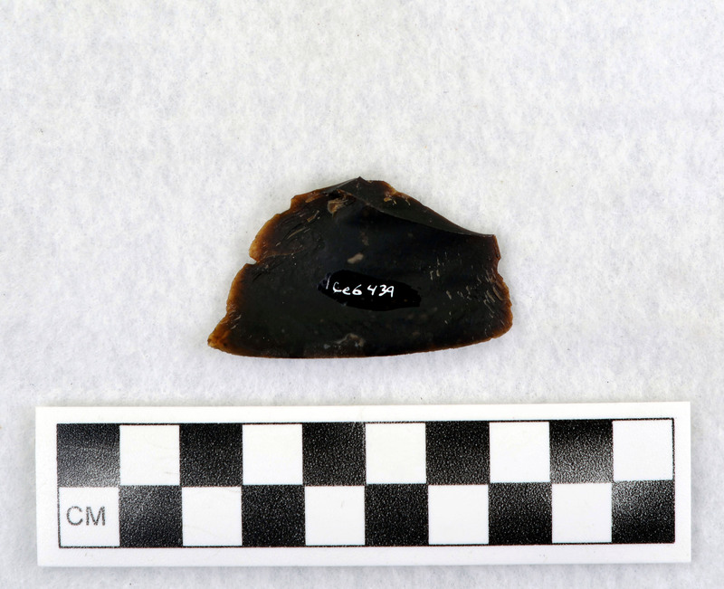 Ce.6439 - Ce.6445: Material sent to Don by unknown person. (GT)