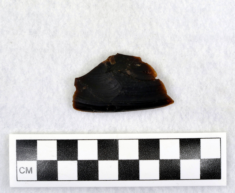 Ce.6439 - Ce.6445: Material sent to Don by unknown person. (GT)