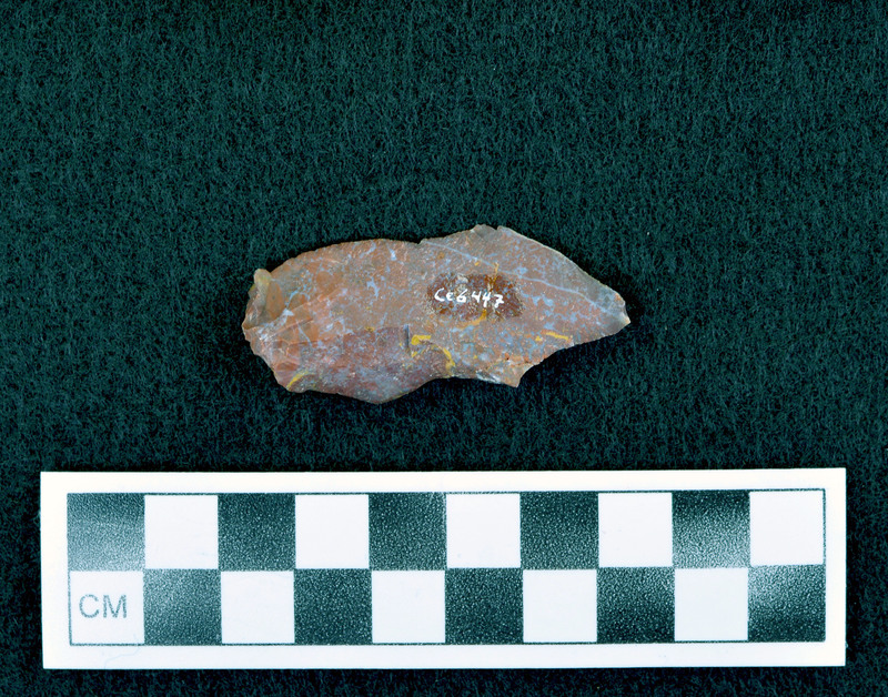 Associated w/Ce.6446