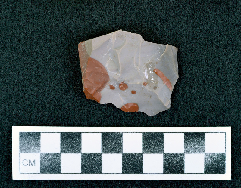 Not heat treated, associated w/Ce.6450 Reds, from Shell Wyoming, color varies, quality varies, most abundant supply of material I've found yet, didn't respond to heat at 400-500 degrees for 4 hours, none of this is heat treated. (D. Crabtree)