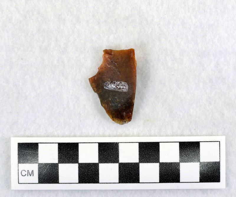 Not heat treated, associated w/Ce.6450 Reds, from Shell Wyoming, color varies, quality varies, most abundant supply of material I've found yet, didn't respond to heat at 400-500 degrees for 4 hours, none of this is heat treated. (D. Crabtree)