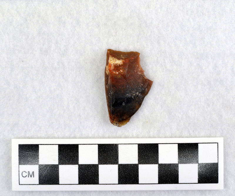 Not heat treated, associated w/Ce.6450 Reds, from Shell Wyoming, color varies, quality varies, most abundant supply of material I've found yet, didn't respond to heat at 400-500 degrees for 4 hours, none of this is heat treated. (D. Crabtree)