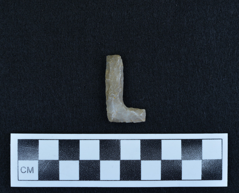 L, purchased by Don, who knows where